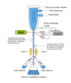 Cell sorting