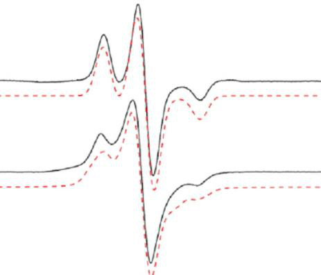 Metodi di calcolo per analisi del segnale EPR