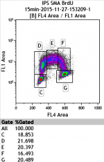 Example of analysis of the PI/BrDU cell cycle with Kaluza and FloJo - 1