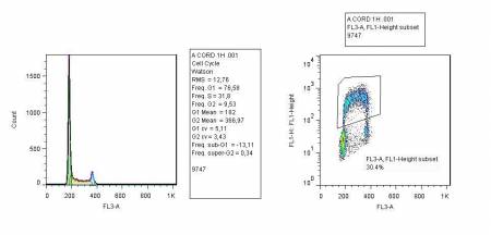 Example of analysis of the PI/BrDU cell cycle with Kaluza and FloJo - 4