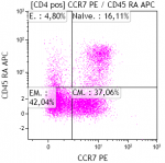 Immunophenotype of mononuclear cells of human peripheral blood - 5