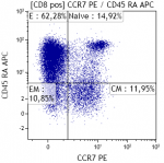 Immunofenotipo di cellule mononucleate di sangue periferico umano - 6