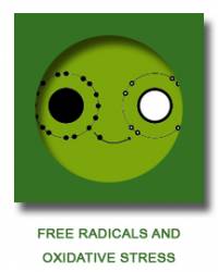 Free radicals and oxidative stress