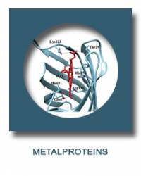 Metals and metalloproteins