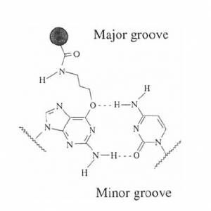 Macromolecole