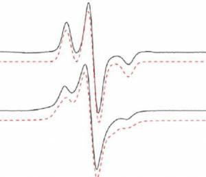 EPR signal