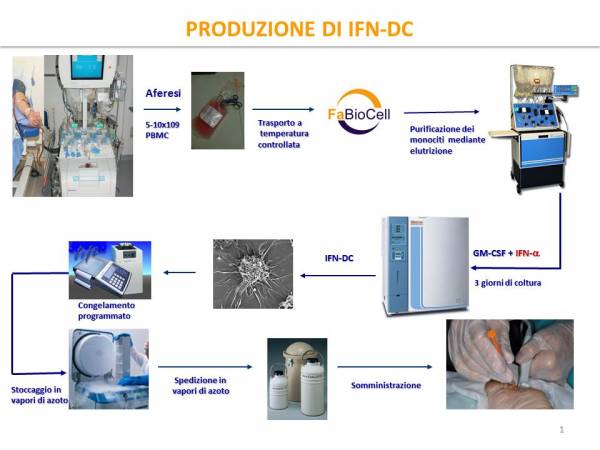 Produzione IFN-DC