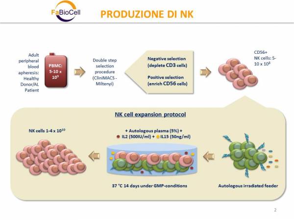 Produzione NK