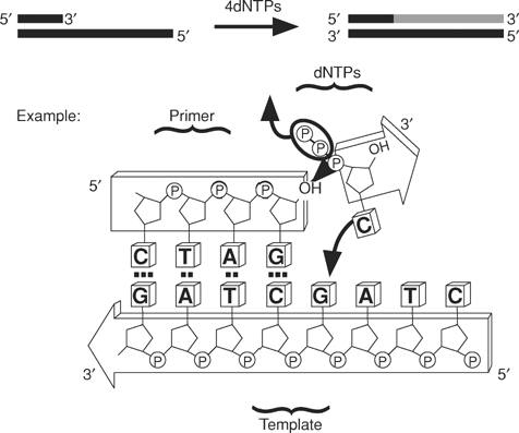 NGS: mechanism of action