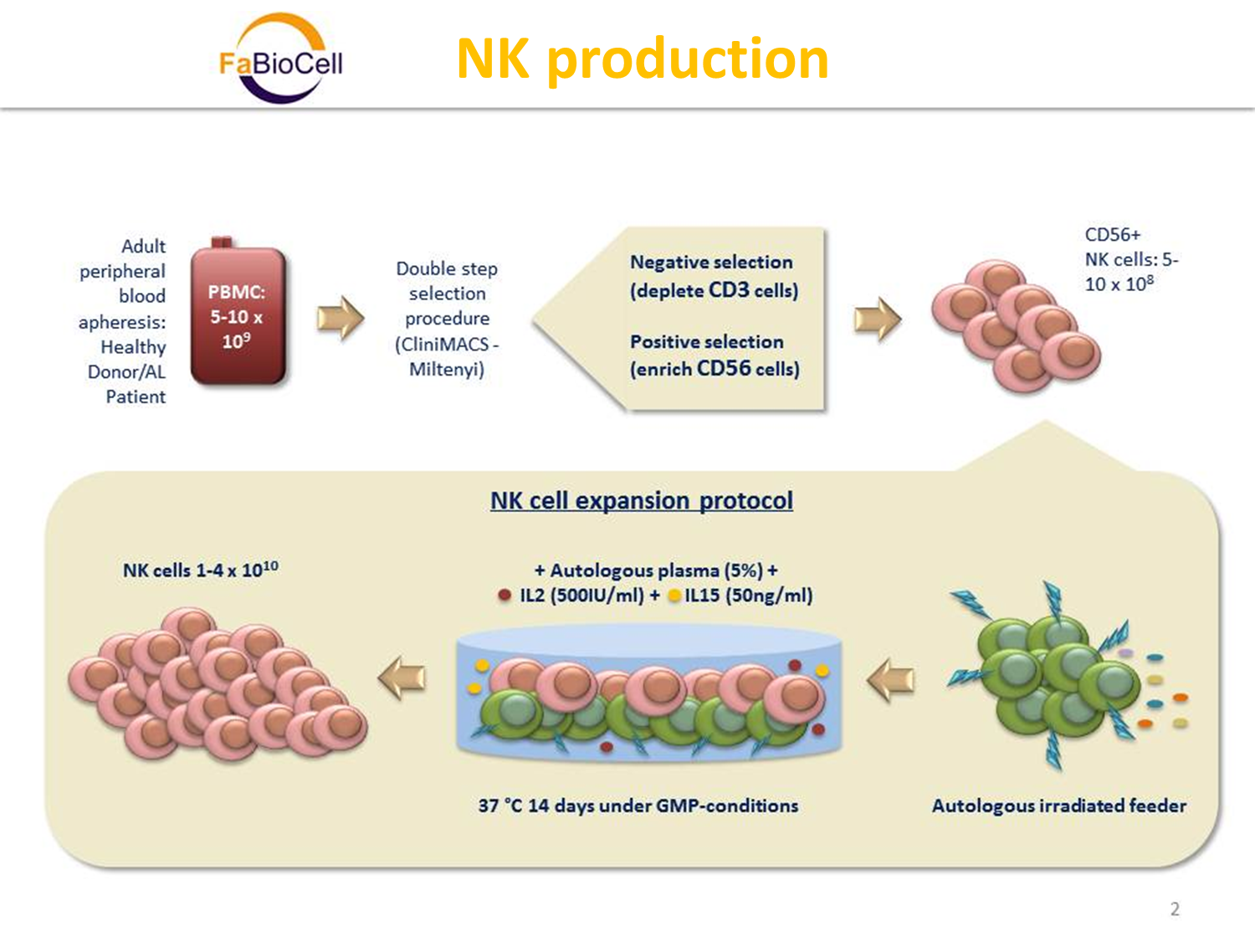 NK production