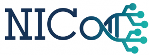 NICo Logo