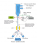 aree:citometria:servizi:cell_sorting-1.png