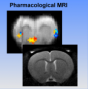 aree:nmr:mri:gallery:mri-pharmacological.png
