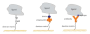 aree:epr:altre_risorse:biacore:proteins_immobilization.png