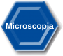 esag-microscopia-nolabel.png