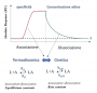 aree:epr:altre_risorse:biacore:il_sensogramma.png